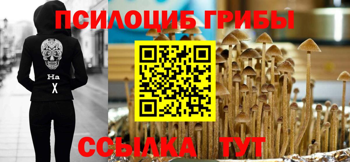 Псилоцибиновые грибы Psilocybe  Вход с VPN  Галлюциногенные грибы GOLDEN TEACHER  Шебекино 