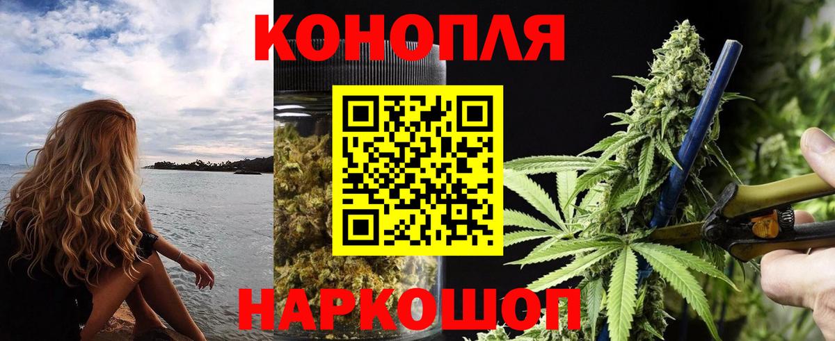 Конопля гибрид  Каннабис сатива  Шебекино  Вход с VPN  Марихуана Amnesia 